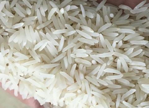 قیمت خرید برنج جنوب دم سیاه + فروش ویژه